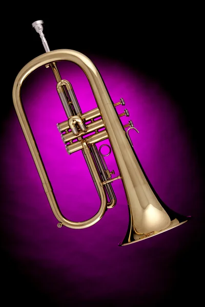 Trompeta Flugalhorn aislada en rosa — Foto de Stock
