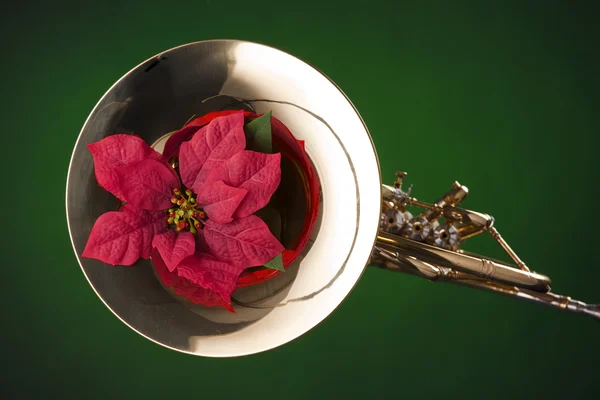 フレンチ ホルンの赤い花 — ストック写真