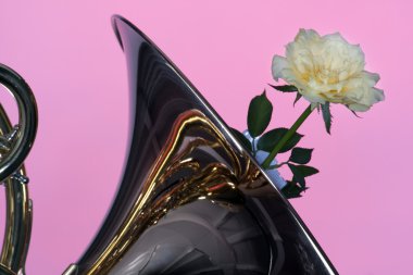 French Horn With Yellow Rose on Pink clipart