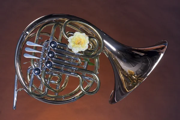 French Horn with Yellow Rose on Yellow — Stock Photo, Image