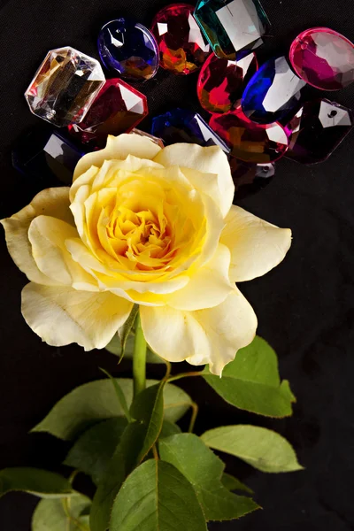 Rose jaune et pierres précieuses — Photo