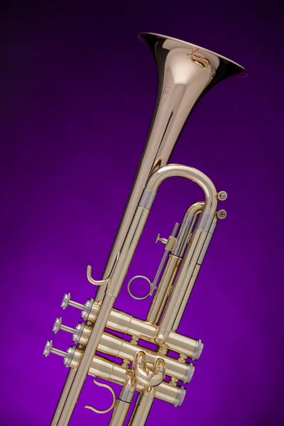 Trompette or isolé sur violet — Photo