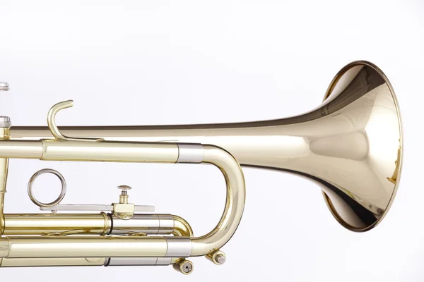 흰색 절연 골드 트럼펫 코 넷 — 스톡 사진