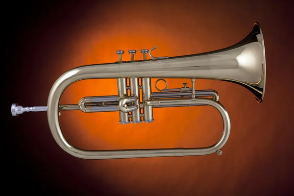Flugelhorn trumpet gold Isolated — Stock Photo, Image