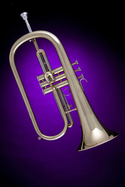 Flügelhorn oder Flügelhorn isoliert auf violett — Stockfoto