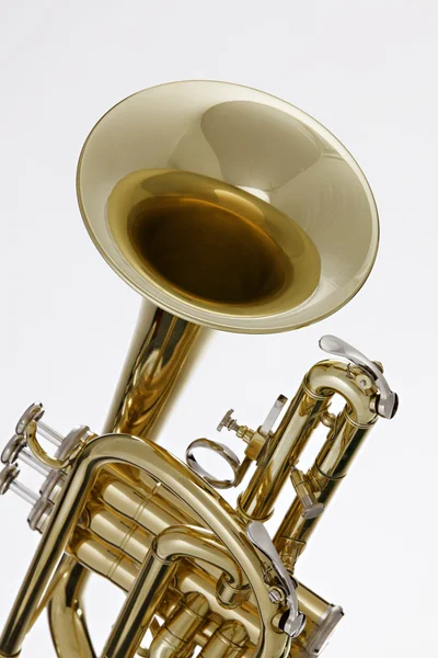 Tromba a cornetta isolata su bianco — Foto Stock