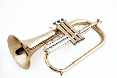 beyaz izole trompet flügelhorn