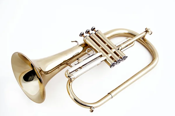 Beyaz izole trompet flügelhorn — Stok fotoğraf