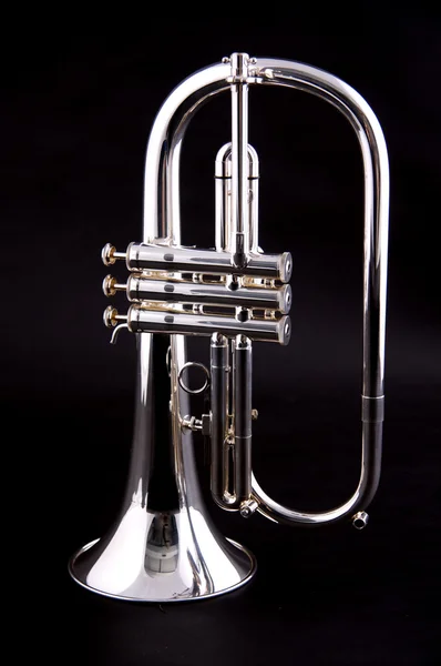 Silver Flugelhorn Isolated on Black Stock Picture