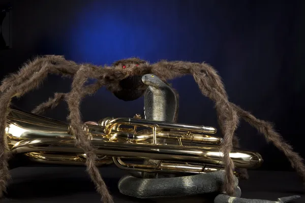 Halloween Eufonium Tuba Snake Spider — kuvapankkivalokuva