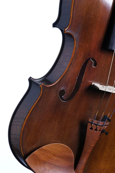 孤立在白色的小提琴中提琴 — 图库照片