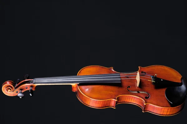 Violin viola komplett isolerad på svart — Stockfoto