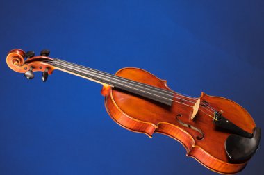 Mavi izole keman viyola