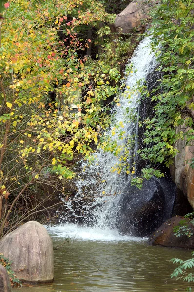 Cachoeira com rochas e árvores — Fotografia de Stock