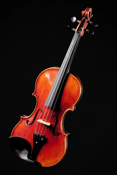 블랙에 고립 된 바이올린 비올라 바이올린 — 스톡 사진