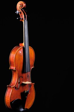 Violin Isolated on black clipart