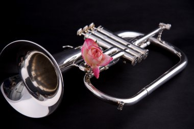 izole Siyah Gümüş flugalhorn