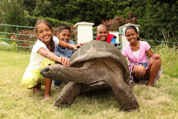 School kids with giant tortoise — Stock Photo, Image