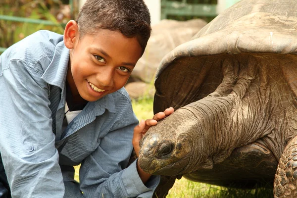 stock image School boy with giant tortoise