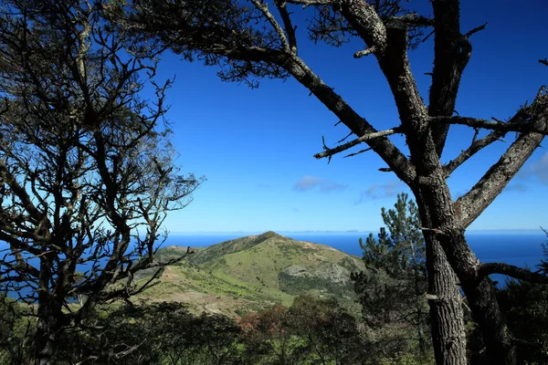 stock image Man and Horse landmark on St Helena