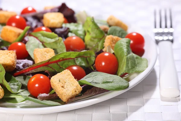 Zdrowy zielony sałatka z grzankami i pomidorów — Zdjęcie stockowe
