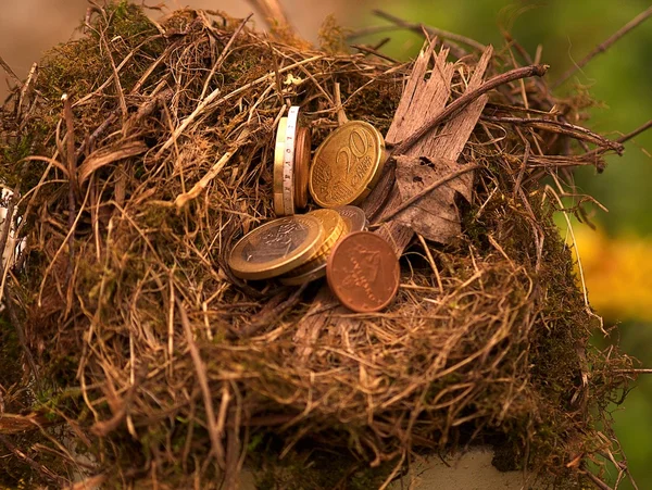 Гнездо с деньгами — стоковое фото
