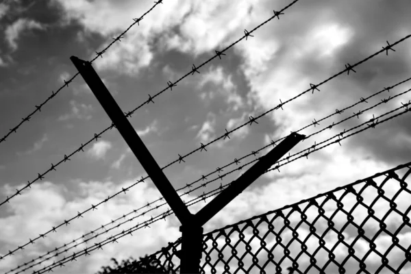 Stacheldraht barbed wire — Stock Photo, Image
