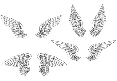 Wings set clipart