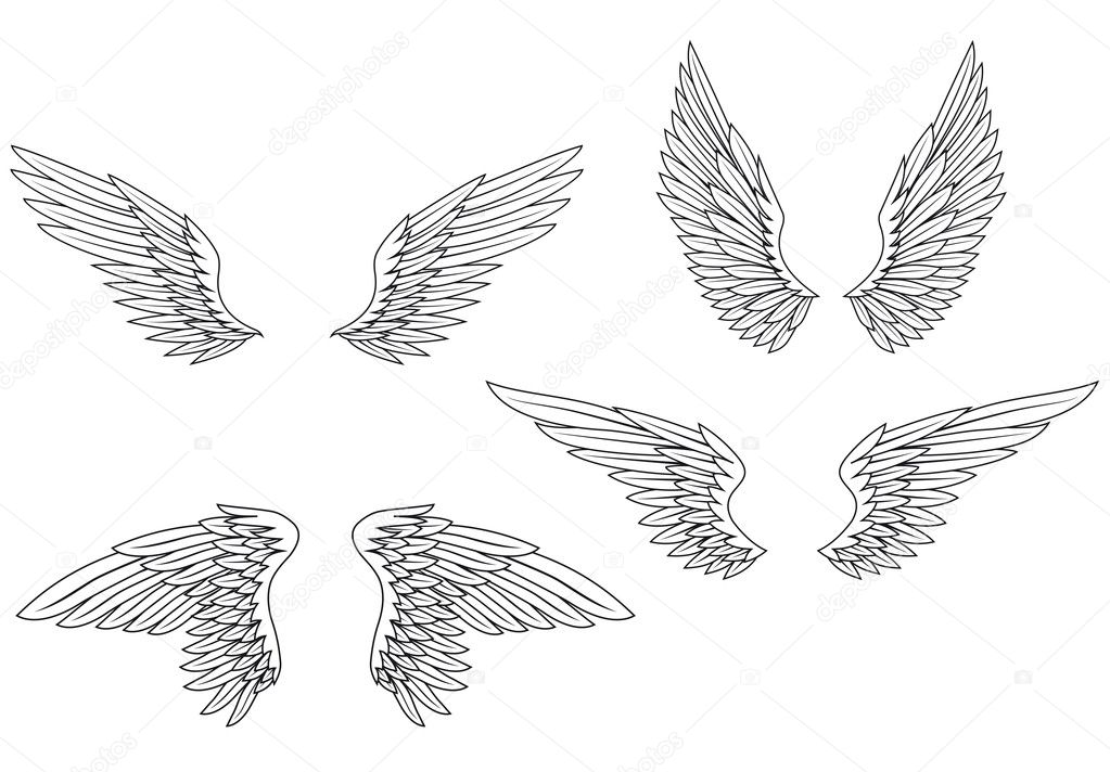 Wings set
