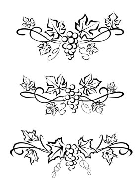 Grape branchs and leaves clipart