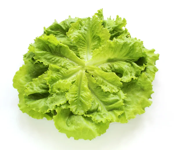 Lettuce on the plate. — Stock Photo, Image