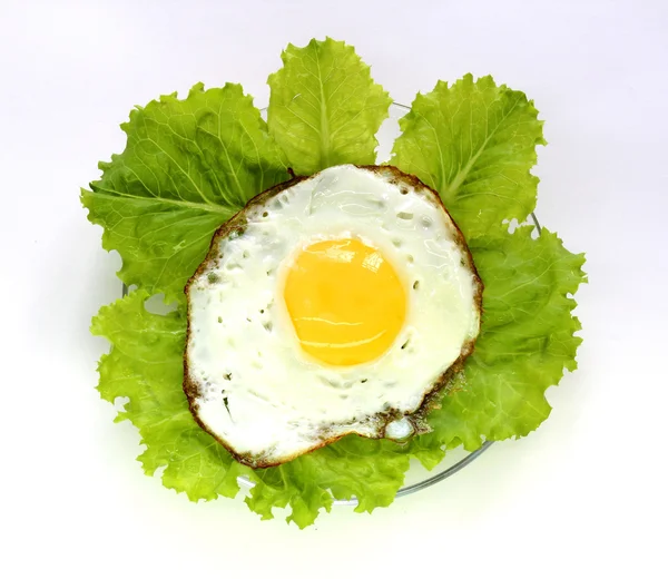 stock image Fried egg on lettuce.