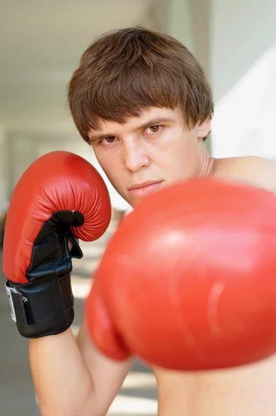 Boxer vörös kesztyűben — Stock Fotó