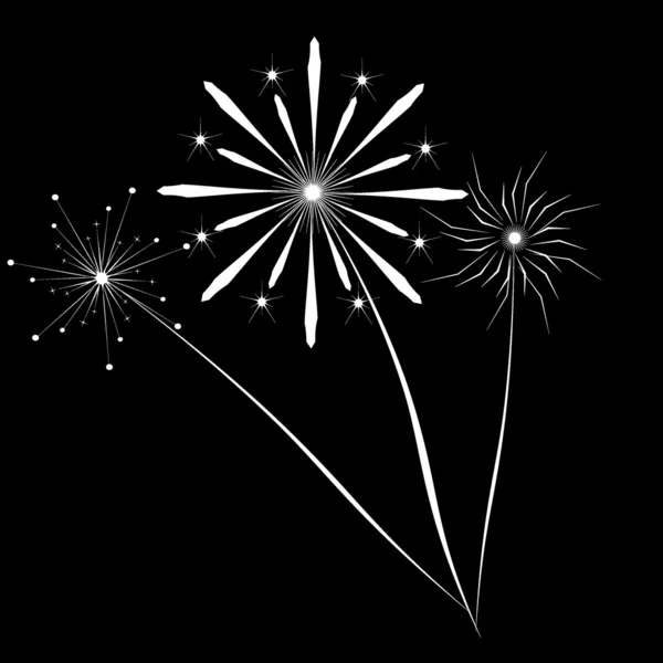 Fireworks — Stock Vector