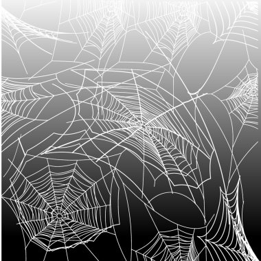 SpiderWeb