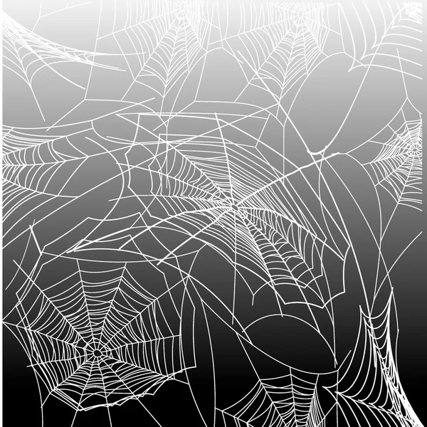 Spiderweb — Stock Vector