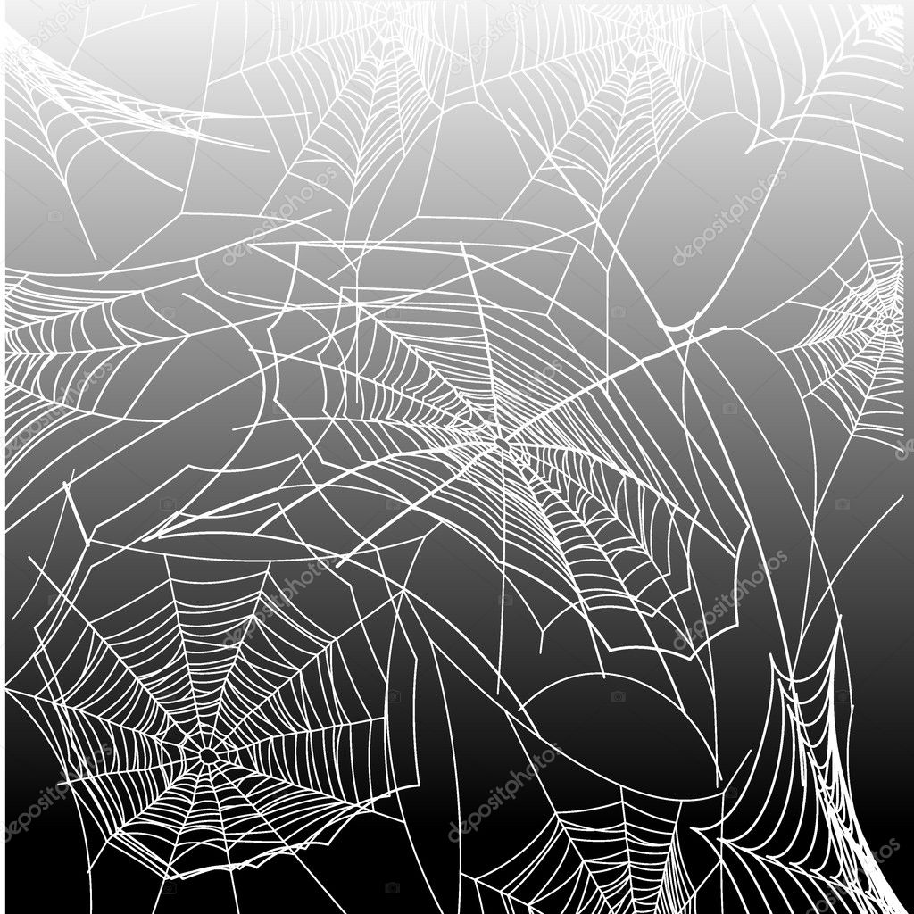 Spiderweb Stock Vector by ©sanirezi 5883569