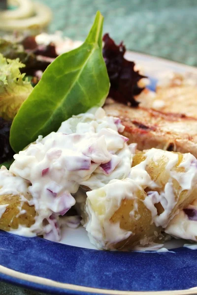 Vertical close up summer potatoe salad and barbecue food — Stock Photo, Image