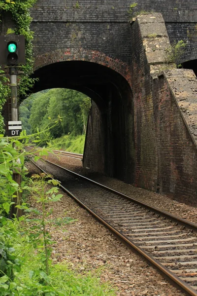 Gamla järnvägsbron med tåg spår löper igenom — Stockfoto