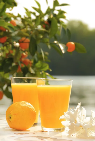 To glass appelsinjuice – stockfoto