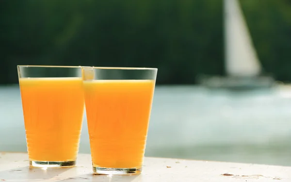 Dos vasos de jugo de naranja contra el mar Imagen de archivo