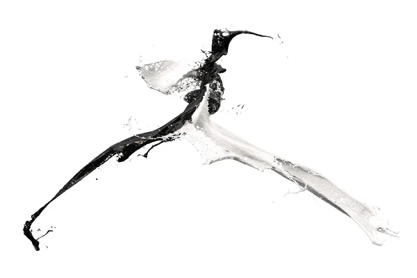 Cor salpicante em preto e branco — Fotografia de Stock