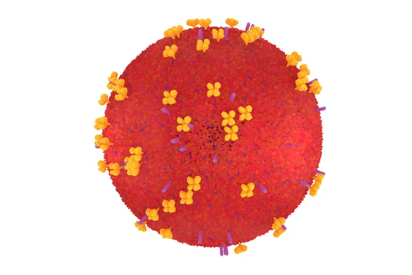 Μοντέλο ιού γρίπης Royalty Free Εικόνες Αρχείου