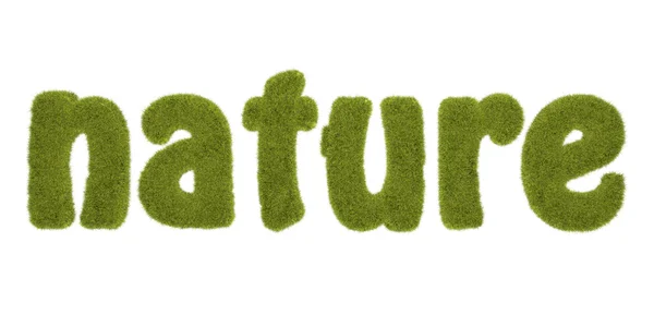 Natuur geschreven met gras begroeide — Stockfoto