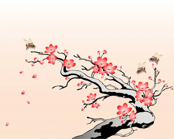 開花桜の枝 — ストックベクタ