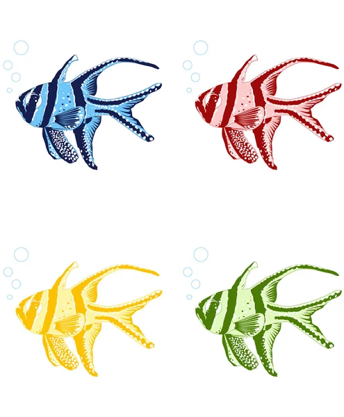 Tropical fishes — Stock Vector