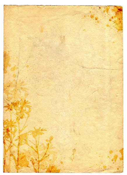 Grunge papel velho fundo floral — Fotografia de Stock