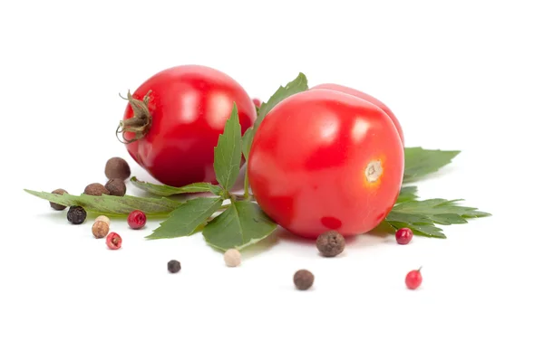 赤いトマトとスパイス — ストック写真