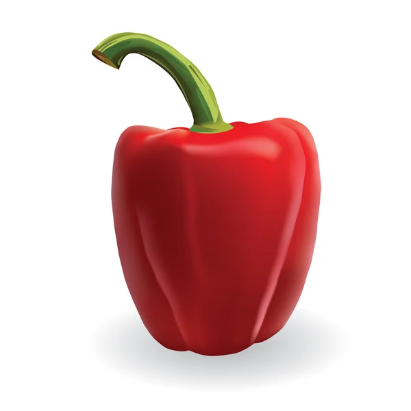 Paprika rossa — Vettoriale Stock