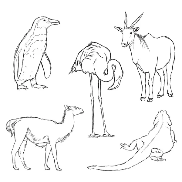 Животные — стоковый вектор